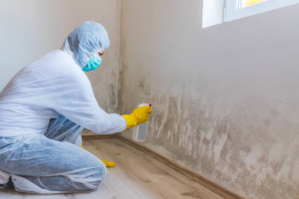 Hvac And Air Duct Mold Remediation inspection of HVAC system in Hopewell